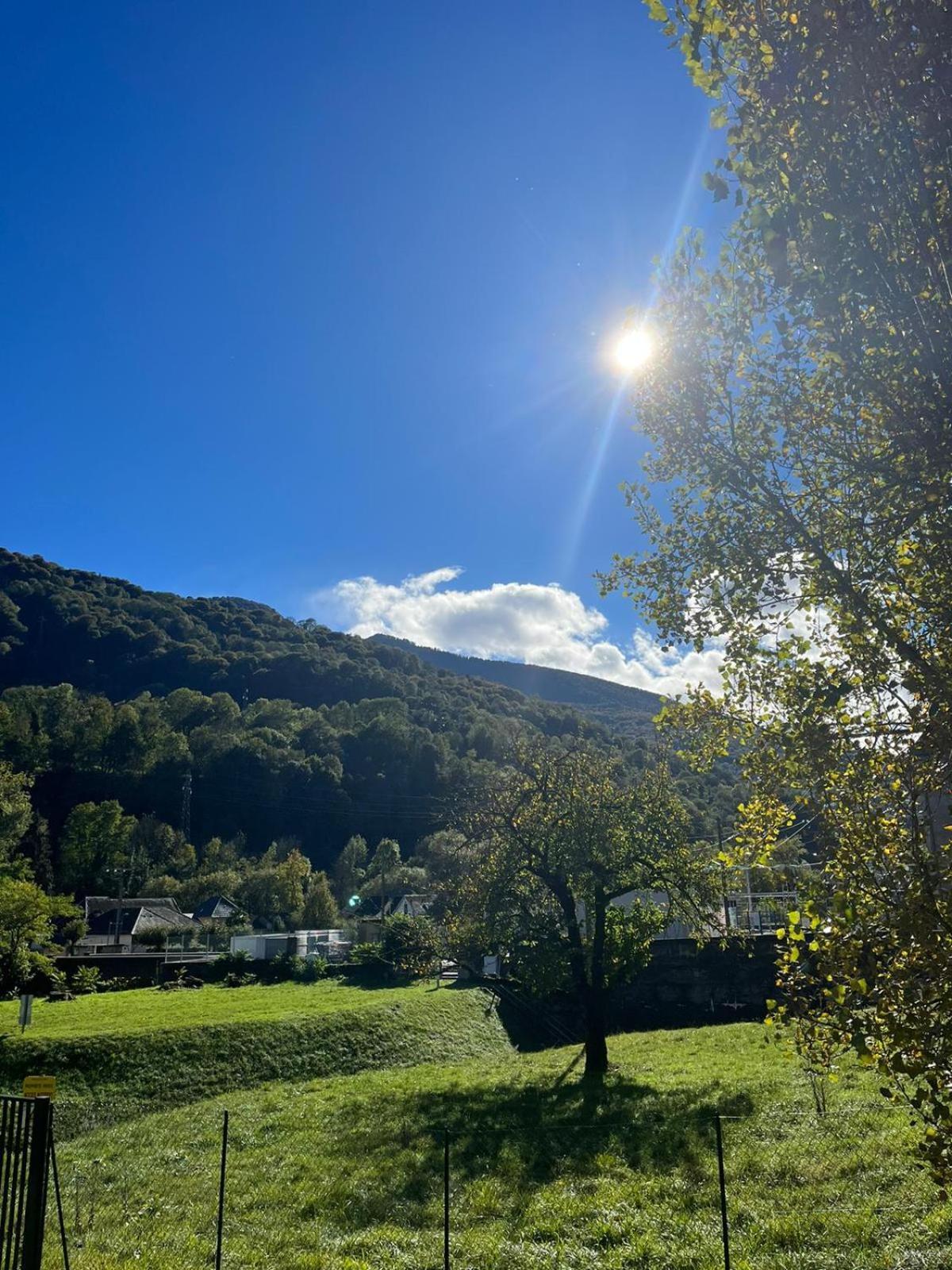 Chalet- Vallee De Luchon - Vallee De La Pique Cierp 외부 사진